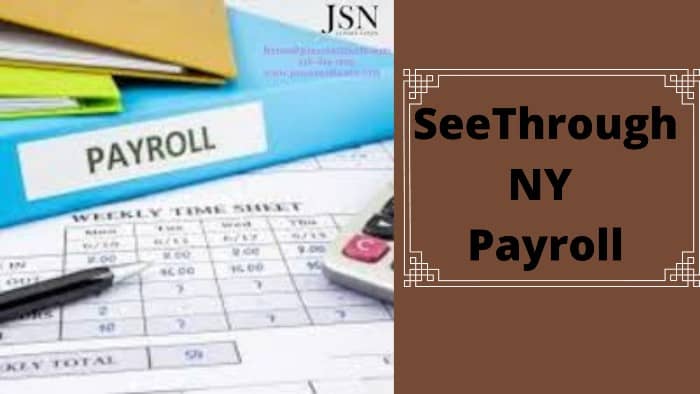 SeeThroughNY-Payroll